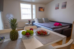 Araucarias apartment